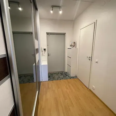 Апартаменты Spacious Close To Center-lauluvaljak