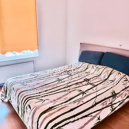 Spacious Close To Center-lauluvaljak Appartement